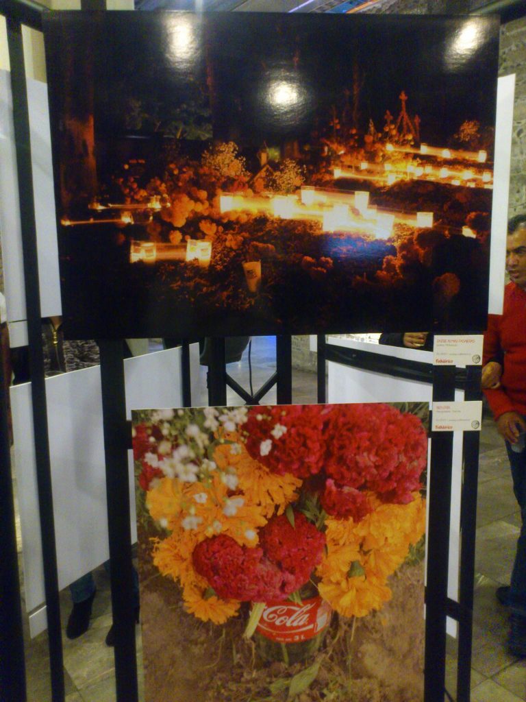 1274837_543276445727914_1345239239_o