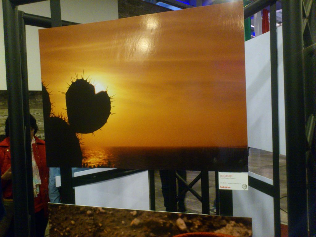 1275677_543278549061037_1243139039_o