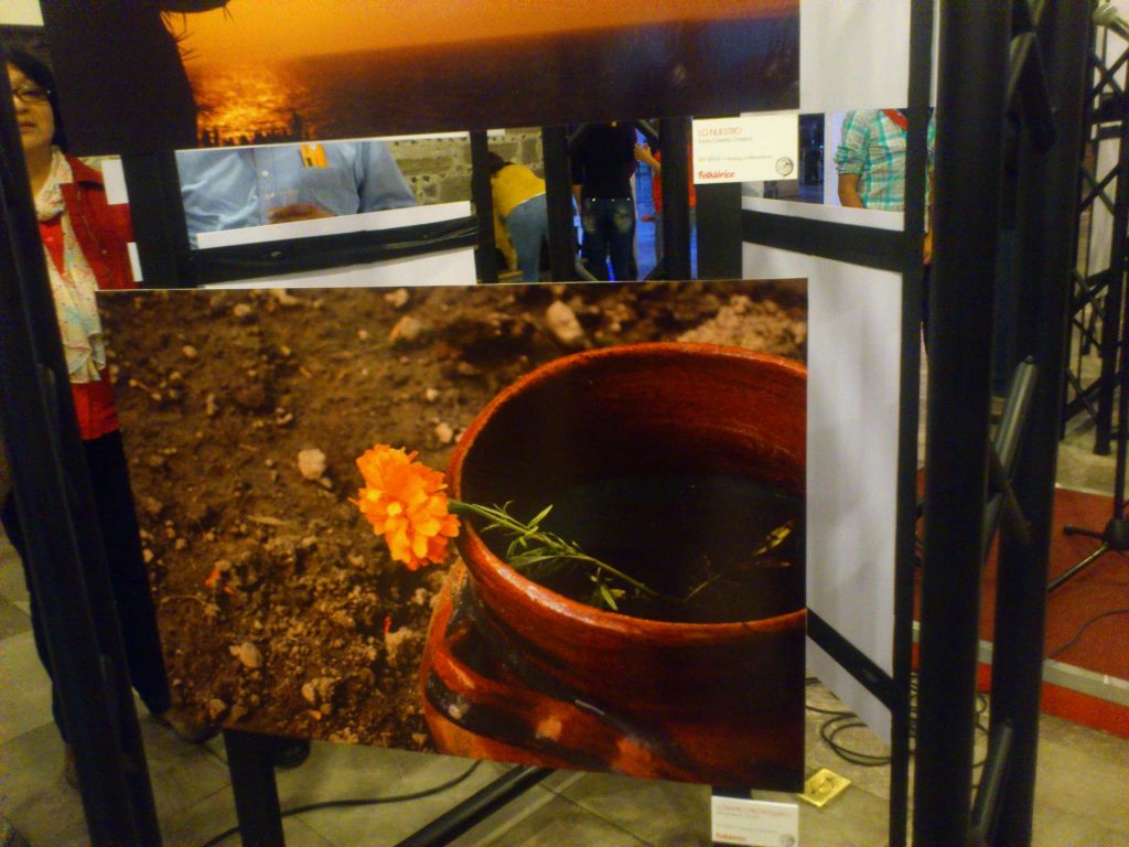 1294482_543276782394547_219465336_o