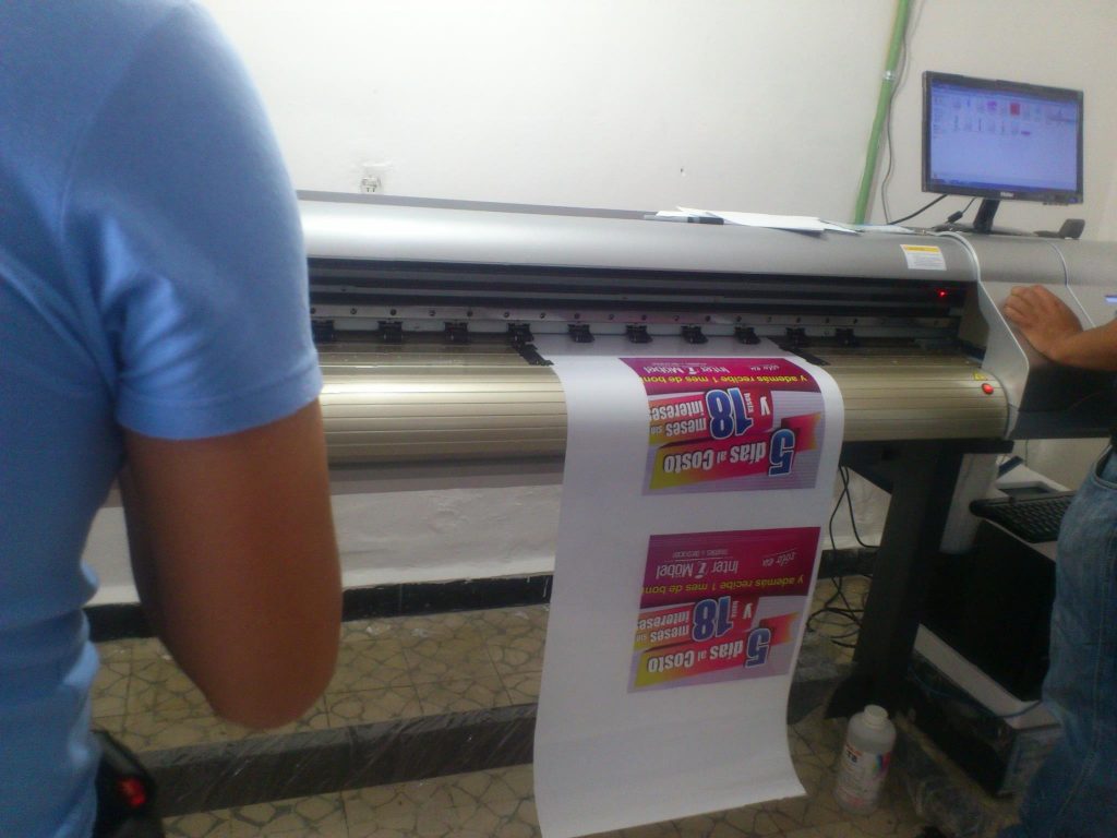 922154_490855697636656_1500419024_o